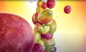 DJINO: Des fruits plein la gorge… Savourez